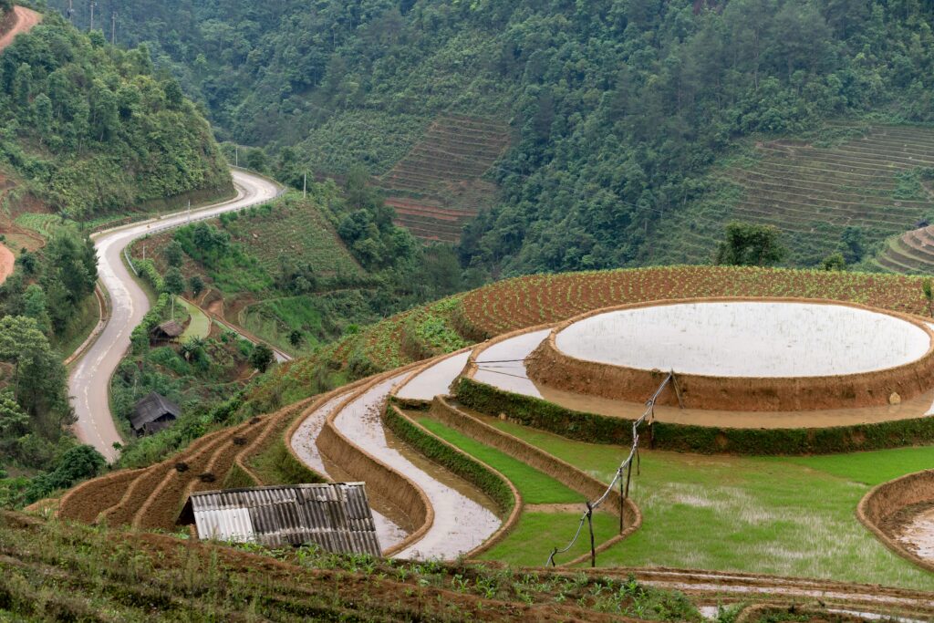 Global Travel Trends 2026: A 3000-Word Detailed Analysis, Trends, and Future Outlook